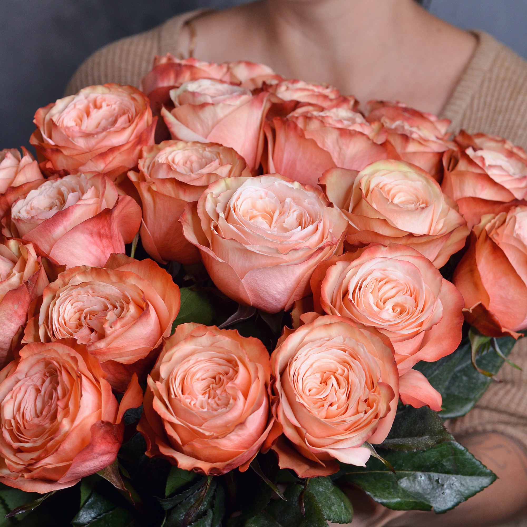 Кахала роза - описание сорта, ее характеристики, правила посадки и ухода  | розоцвет