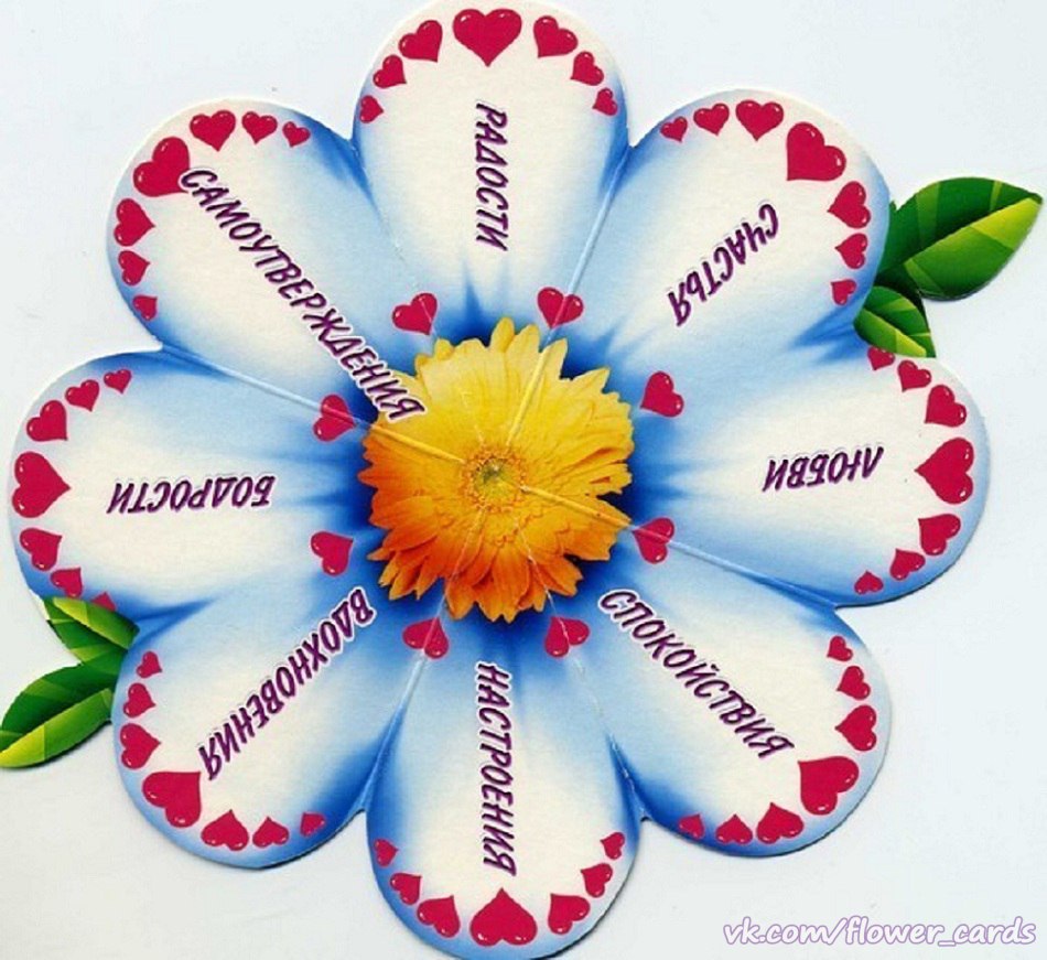 Комнатные цветы для женского счастья и любви: 20 разновидностей с фото. растения, которые приносят в дом любовь и семейное счастье