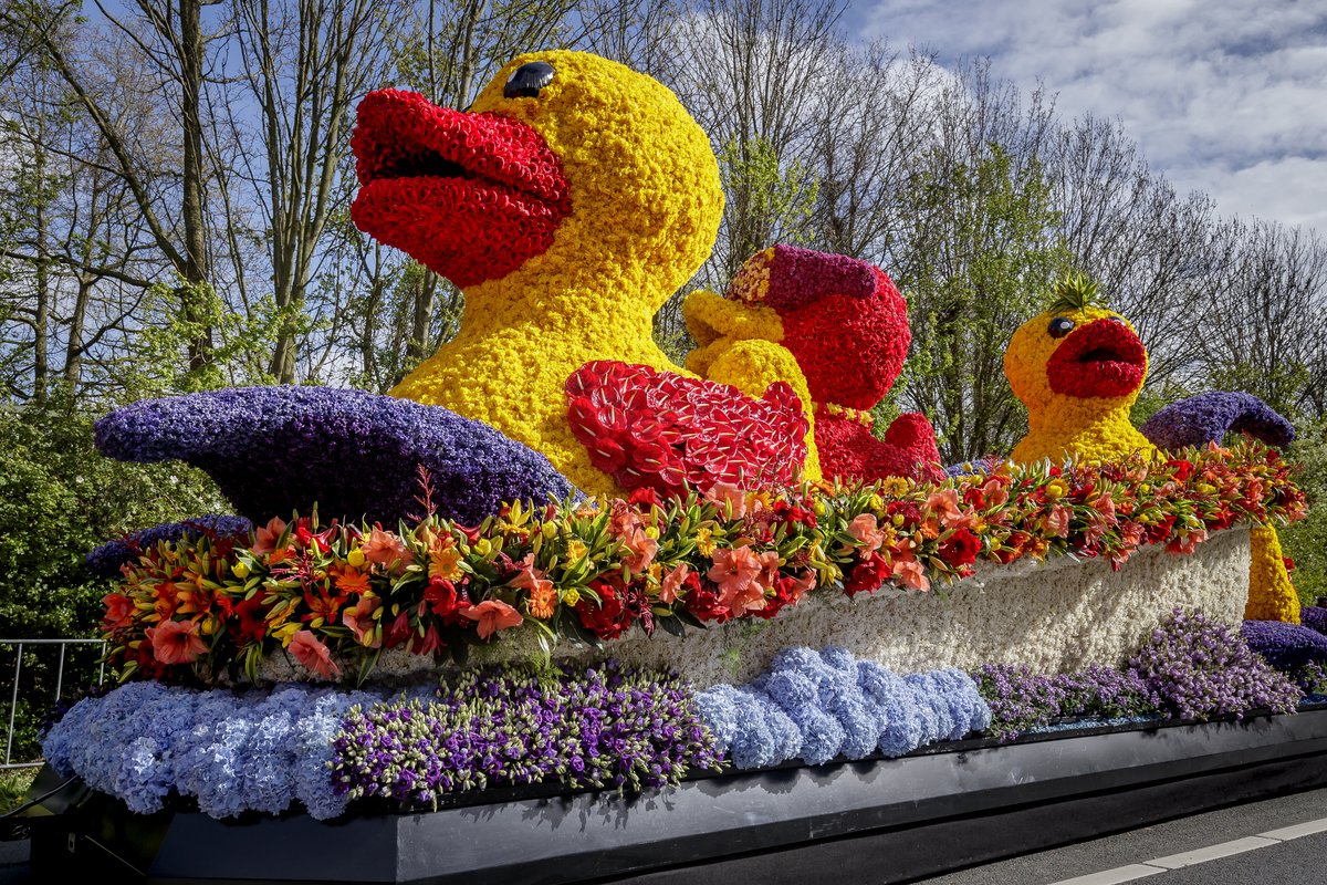 Парк цветов в голландии - кекенхоф: лучшее место для встречи весны