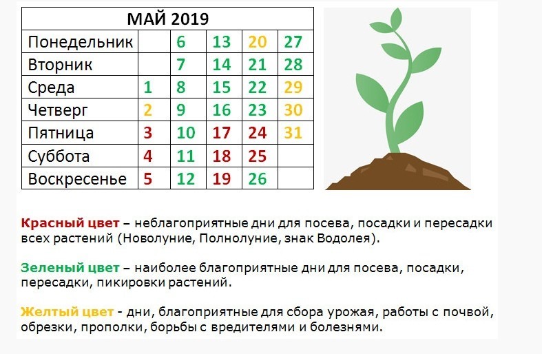 Лунный календарь для посева семян на 2021 год: благоприятные и неблагоприятные дни