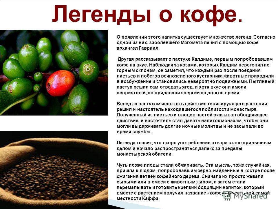 Как кофе стал главным напитком человечества и изменил мир | гол.ру