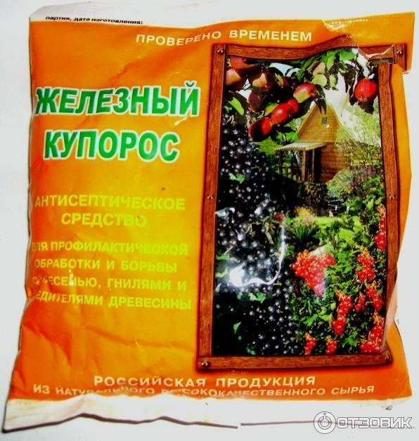 Железный хлороз растений: все способы борьбы с недостатком железа | polemo.ru - дача, огород и сад.