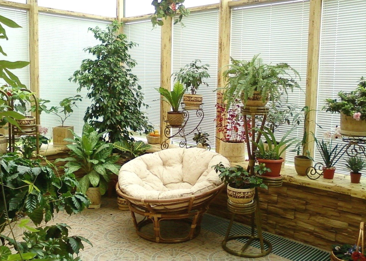 Домохозяйка  » blog archive  зимний сад в квартире | домохозяйка