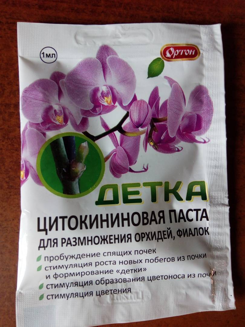 Цитокининовая паста для орхидей