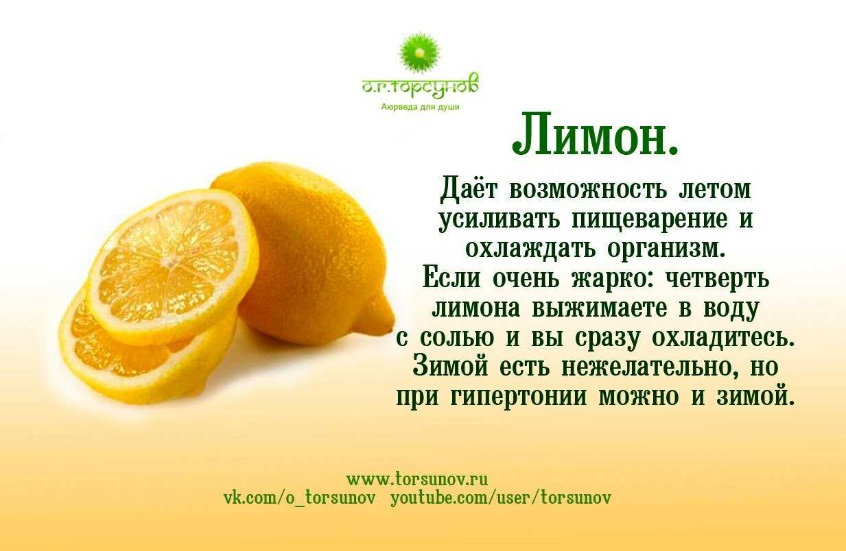 Как вырастить лимон и ухаживать за ним в домашних условиях, фото