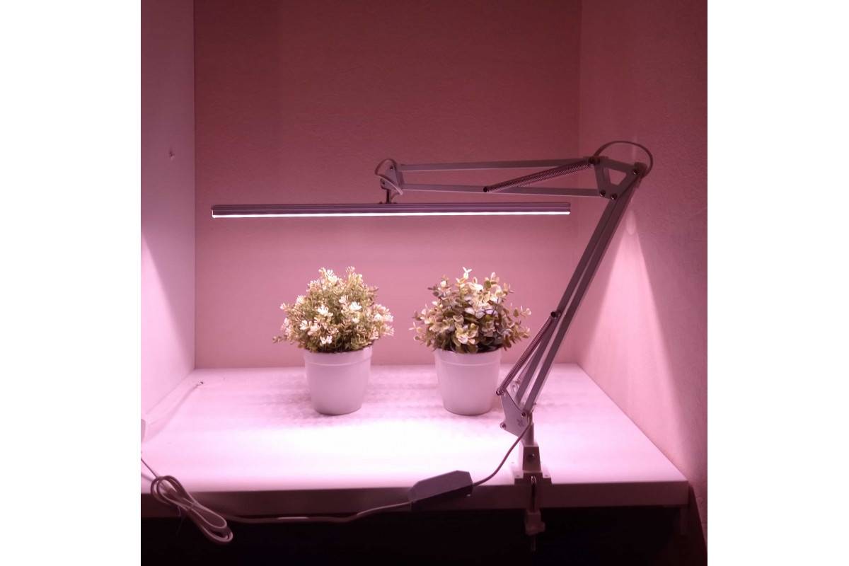 Освещение для комнатных растений: установка и использование ламп, виды фитоламп, недостаток или избыток света