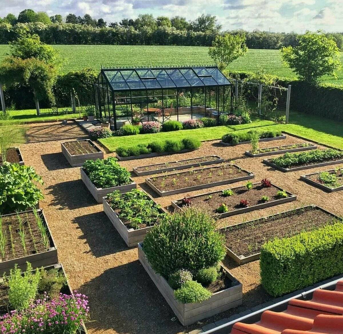 Декоративный огород на даче: как посадить и что для этого нужно?