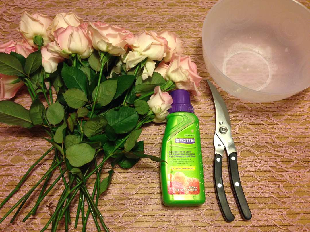 Как дольше сохранять срезанную розу в вазе с водой в домашних условиях: что добавить