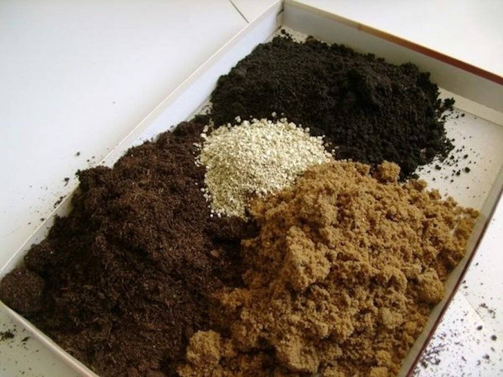 Грунт для комнатных растений: виды грунтов и субстратов, состав грунта, специализированный грунт