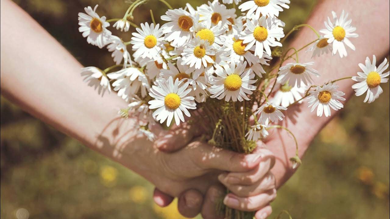 10 домашних цветов на счастье, любовь и удачу