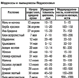 Медоносы средней полосы россии по месяцам с фото