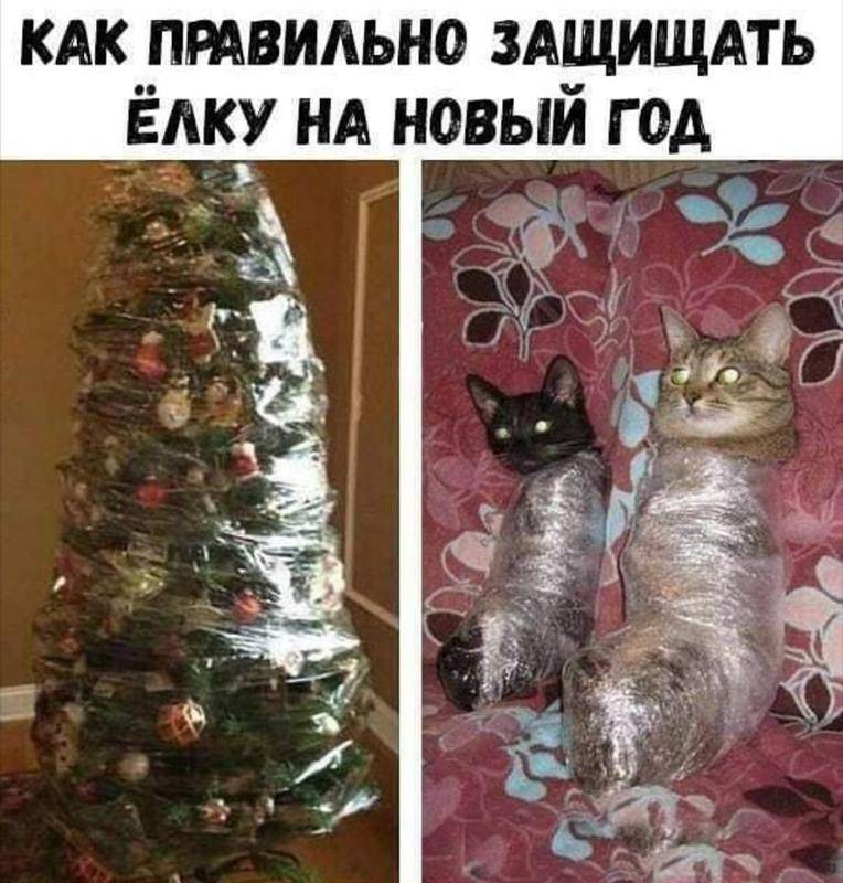 Как защитить новогоднюю елку от кота - wikihow