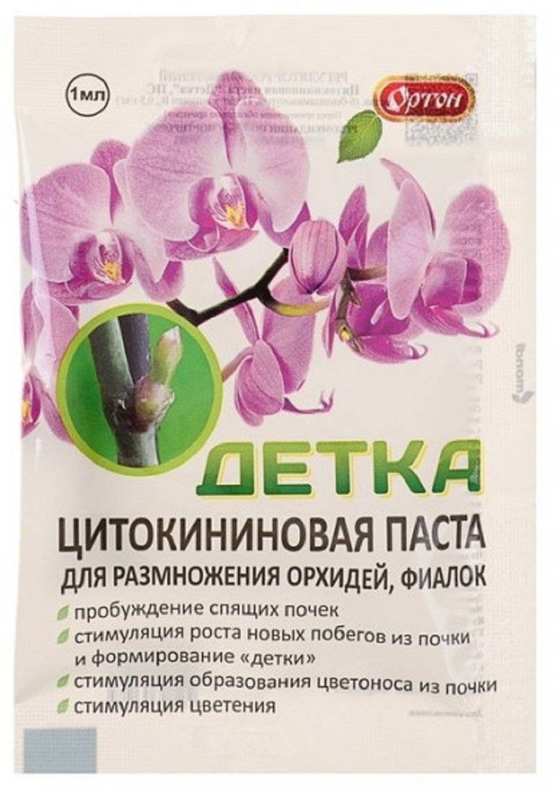 Цитокининовая паста: применение для растений, орхидей, отзывы