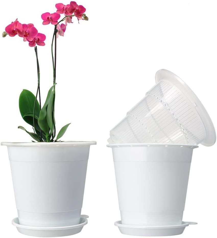 Кашпо для орхидей: какой должен быть размер и материал, посадка в стеклянный и прозрачный горшок, в какой лучше сажать и как ухаживать после процедуры?