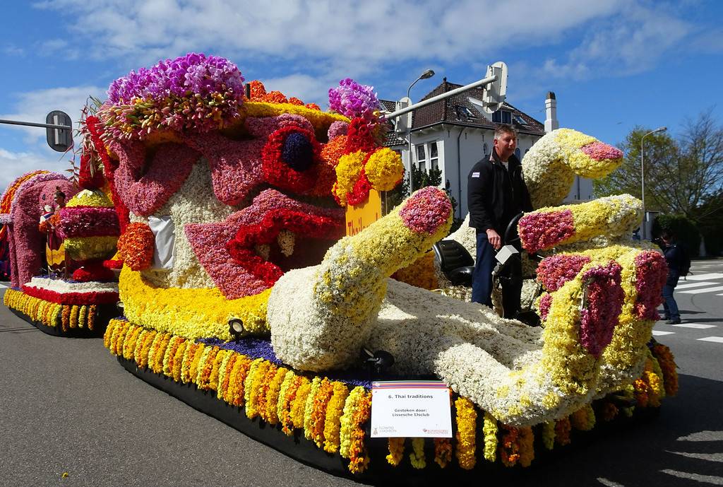 Парад (фестиваль) цветов в голландии в 2019 году