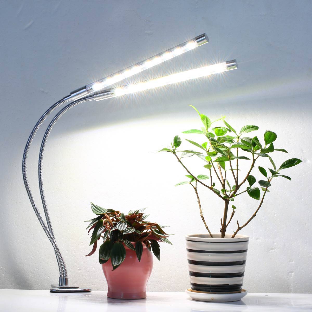 Лампы для комнатных цветов: правильный свет для растений (как выбрать и установить)