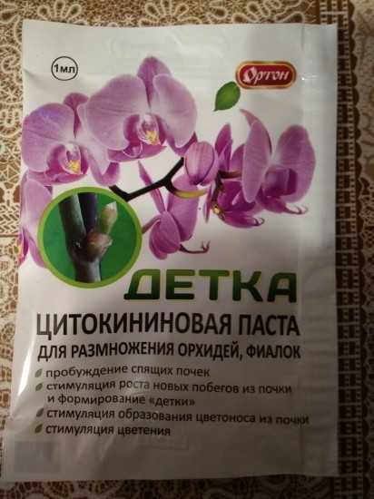 Цитокининовая паста для орхидей: как и для чего применять препарат, на что обратить внимание?