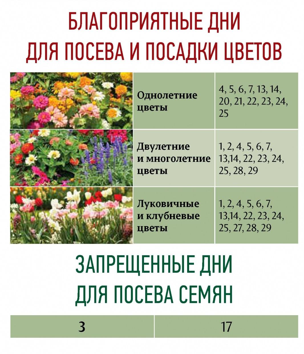 Лунный календарь комнатных растений и цветов на 2022 год: таблица