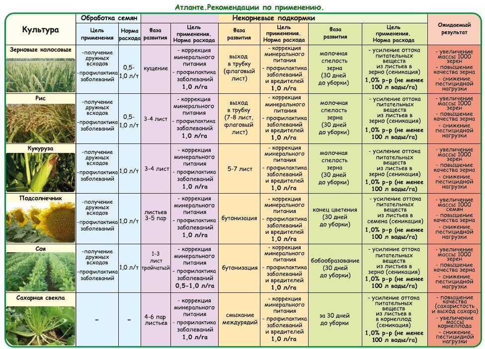 Виды и классификация удобрений (4 группы): какие бывают, в сельском хозяйстве, применение, обзор