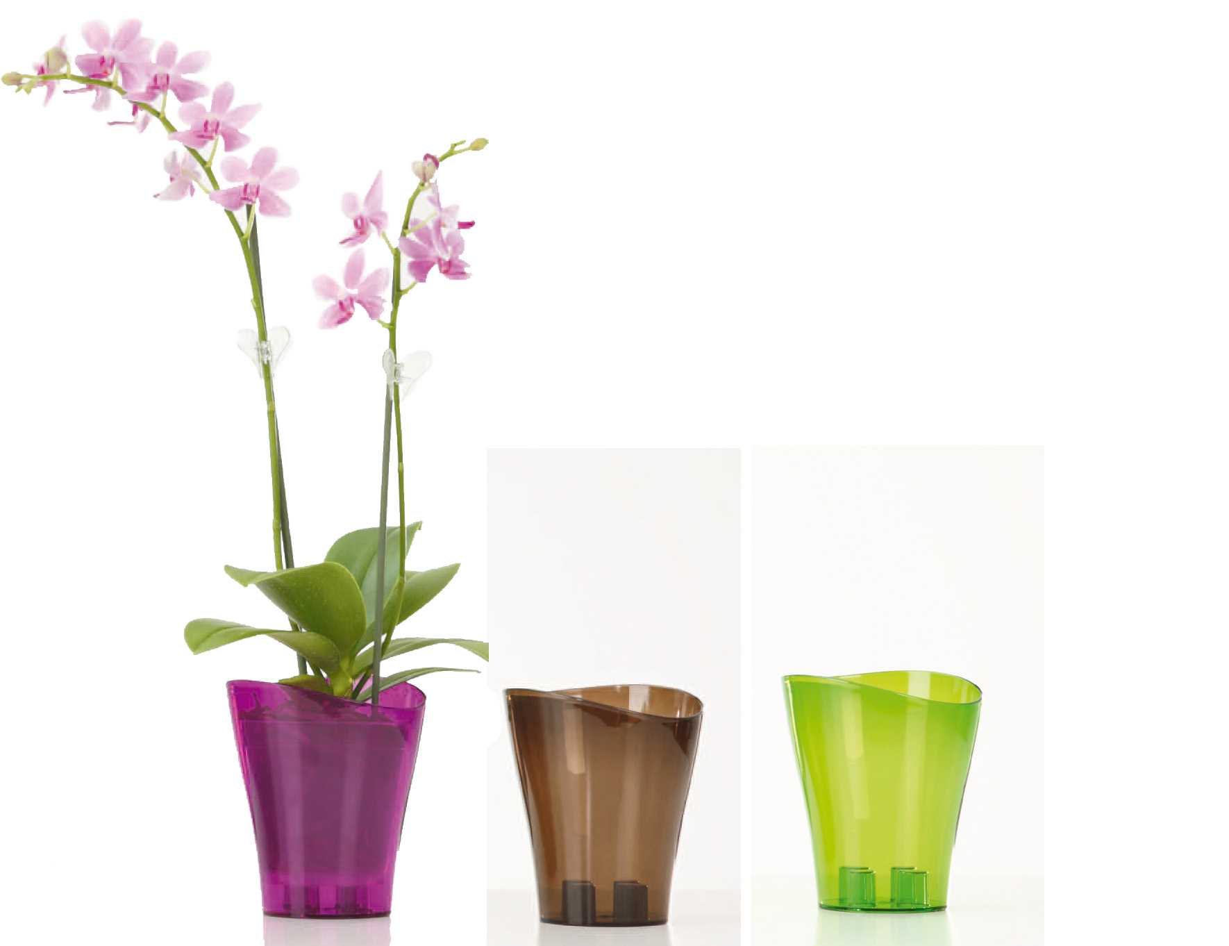 Горшок для орхидеи - как выбрать прозрачные и стильные вазы и горшки для орхидей (145 фото и видео)