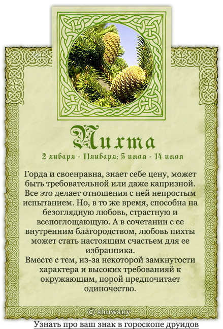 Гороскоп друидов: деревья (камни, цветы, животные) по дате рождения + их соответствие знакам зодиака