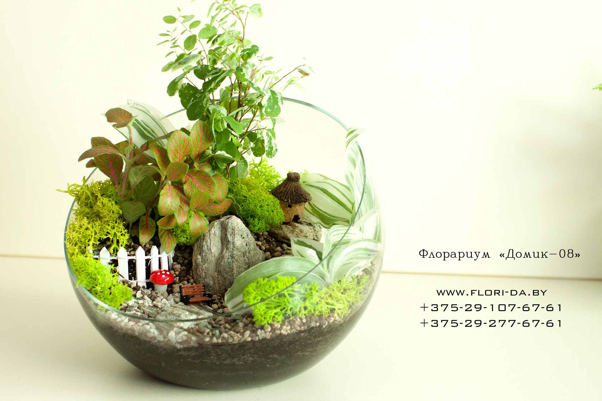 Флорариум своими руками: подбираем грунт, емкость, растения - каталог статей на сайте - домстрой