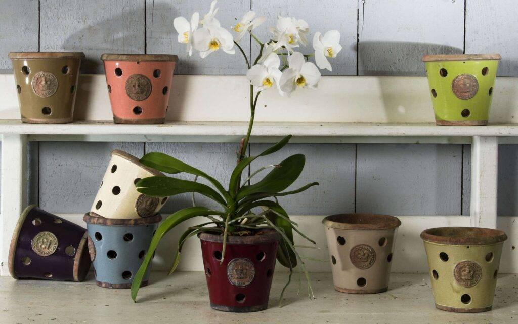 Горшки для орхидей: какие должны быть, фото, материалы, размеры, формы