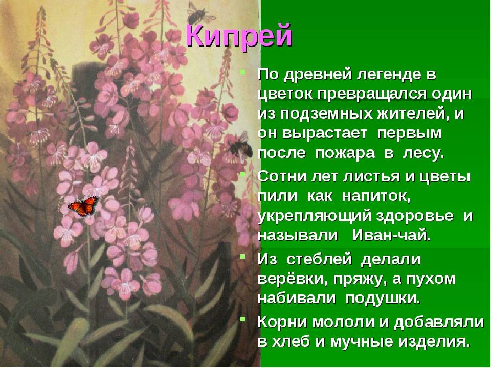 Борис алексеевич александров "в стране зеленой" - июнь