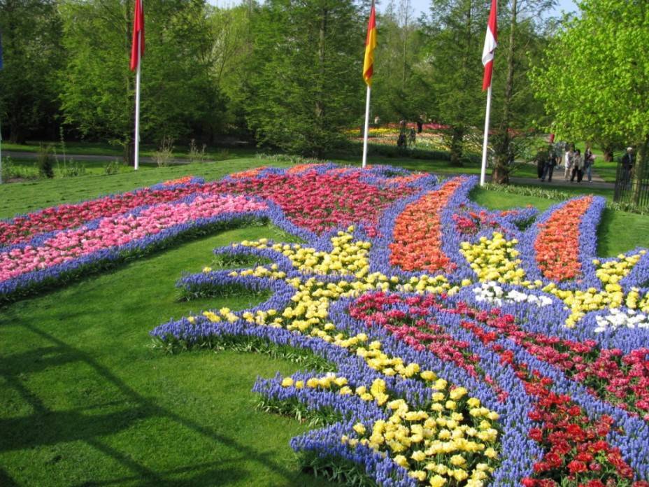 Фестиваль тюльпанов в голландии как всегда радостно встречает гостей и участников