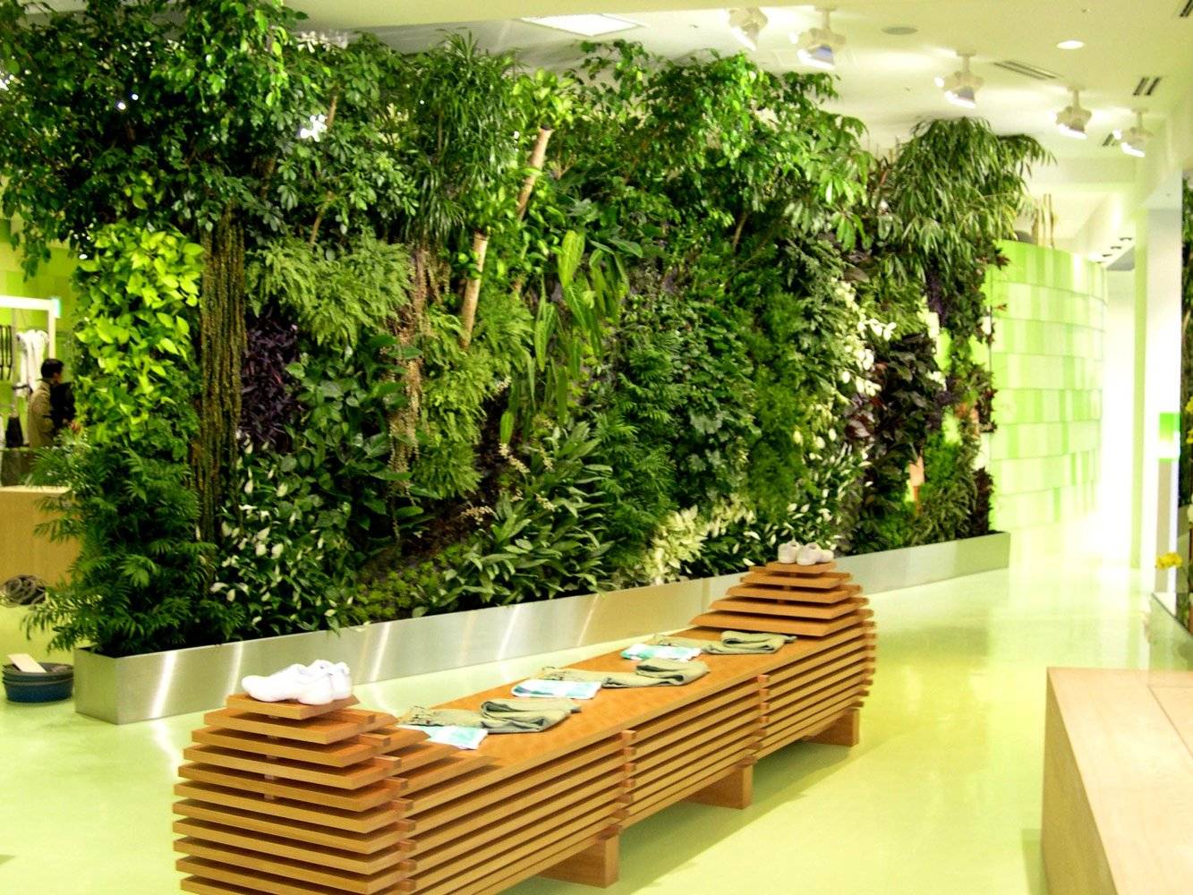 Как вертикальное озеленение может преобразить ваш дом?