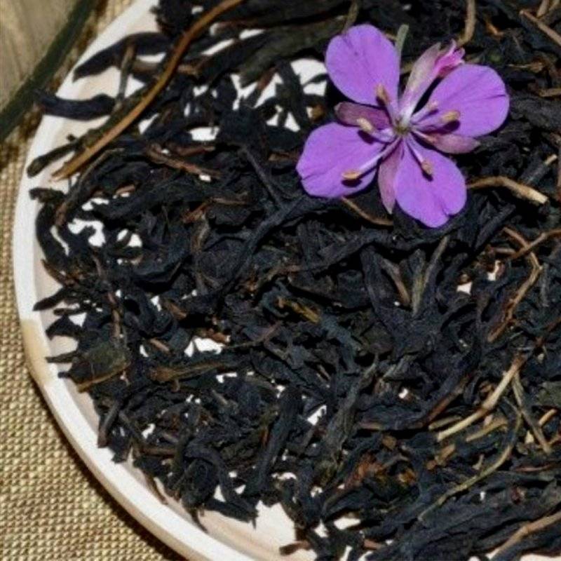 Иван-чай – главный чай на руси: о лечебных свойствах 