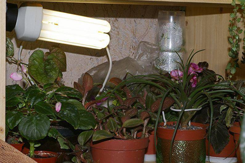 Как подсвечивать рассаду на подоконнике: какую лампу выбрать для досветки в домашних условиях, а также о правильном освещении саженцев на окне зимой