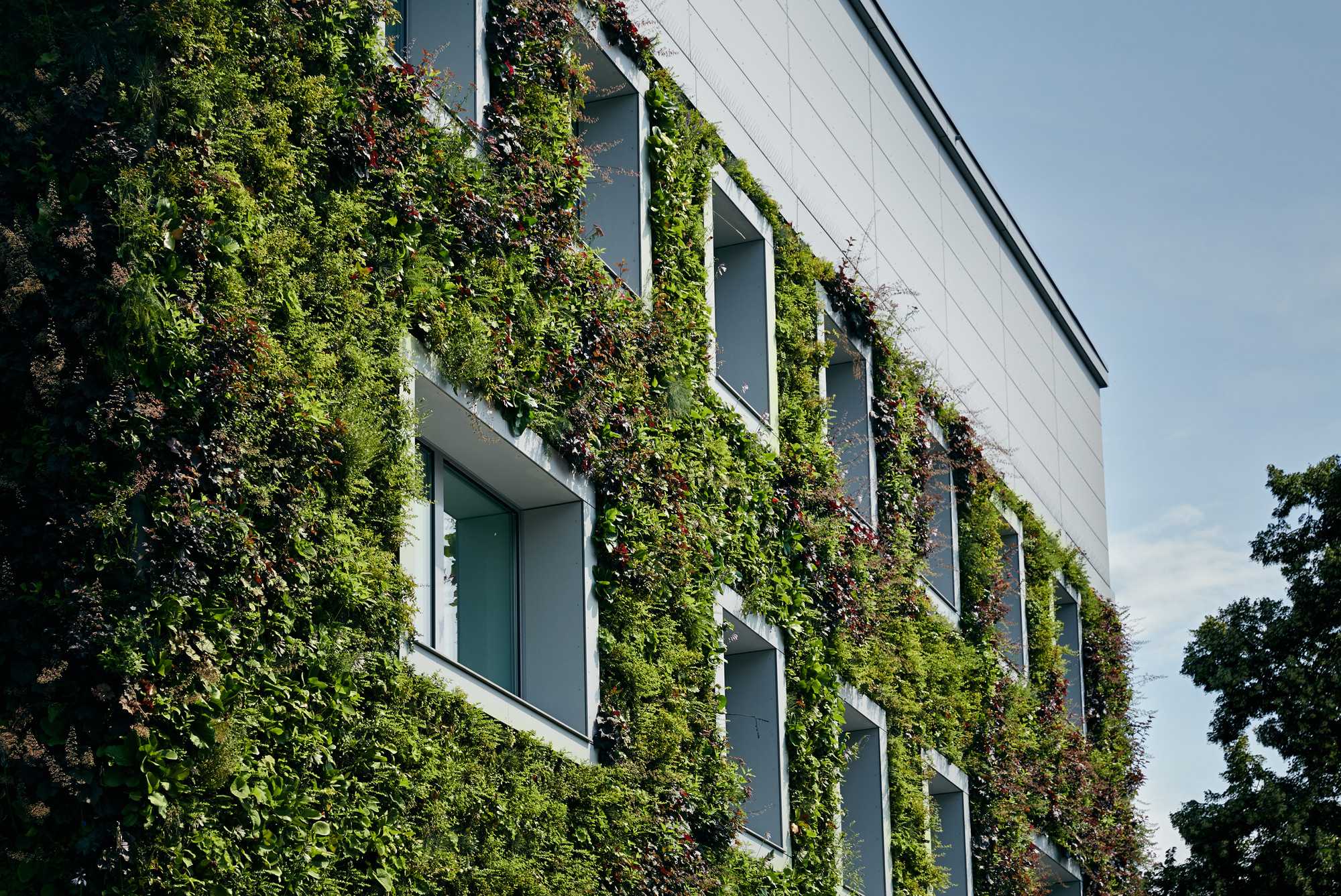 Вертикальное озеленение в квартире, на даче и ландшафтном дизайне: что это такое, конструкции, растения, как сделать своими руками