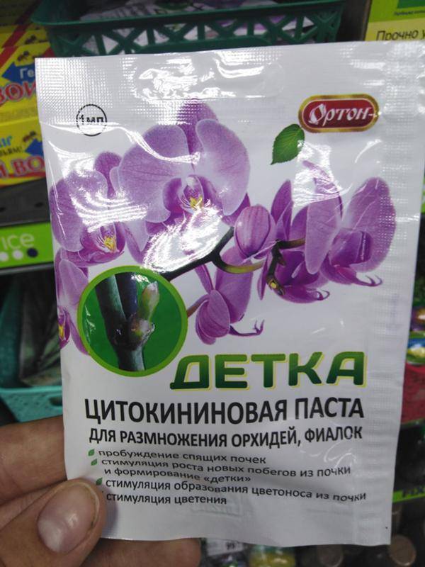 Цитокининовая паста для орхидей: как и когда использовать гормональную мазь, применение для пробуждения почек и размножения цветов, как применять средство?