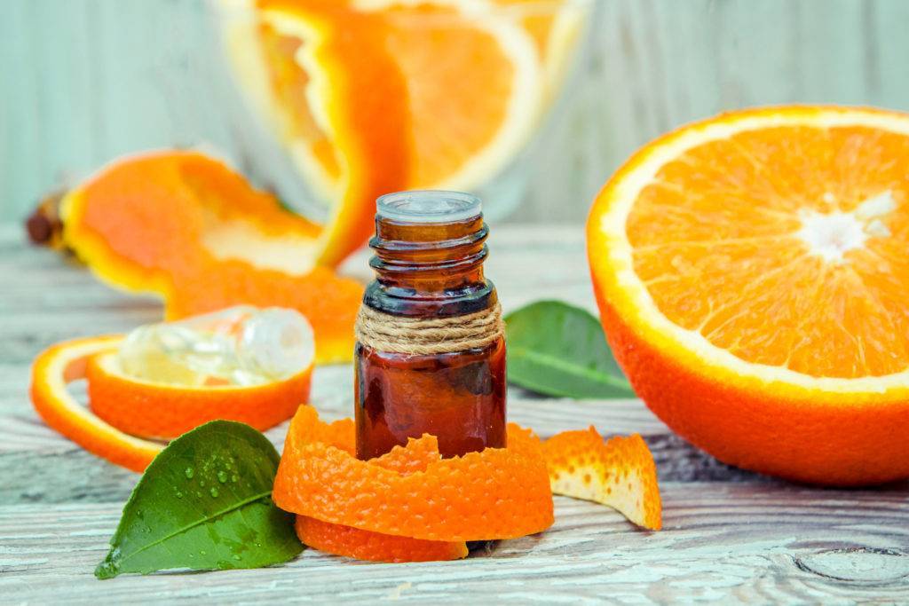 Как вырастить апельсин на даче. 10 важных моментов