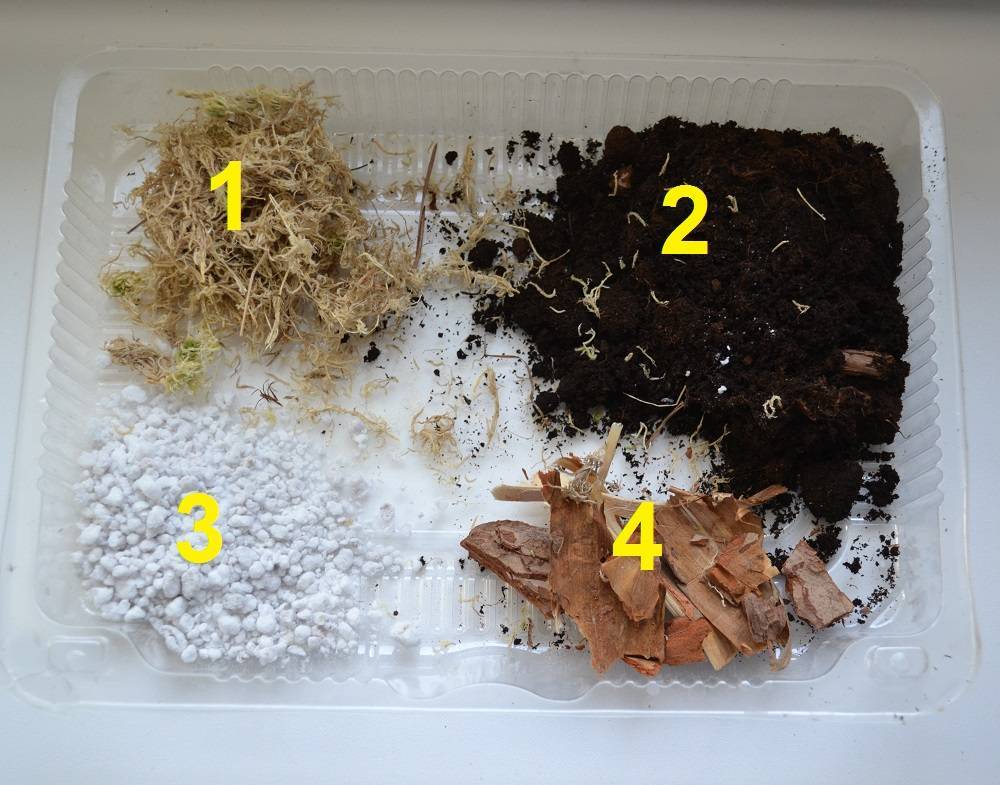 Грунт для антуриума: какой подойдет готовый, как сделать почву для пересадки в домашних условиях, в землю с каким составом нужно сажать?
