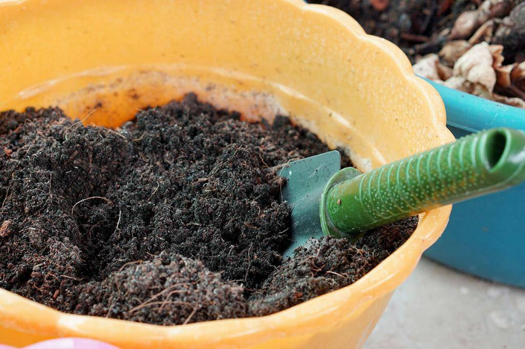 Как улучшить почву для комнатных растений: лучшие советы