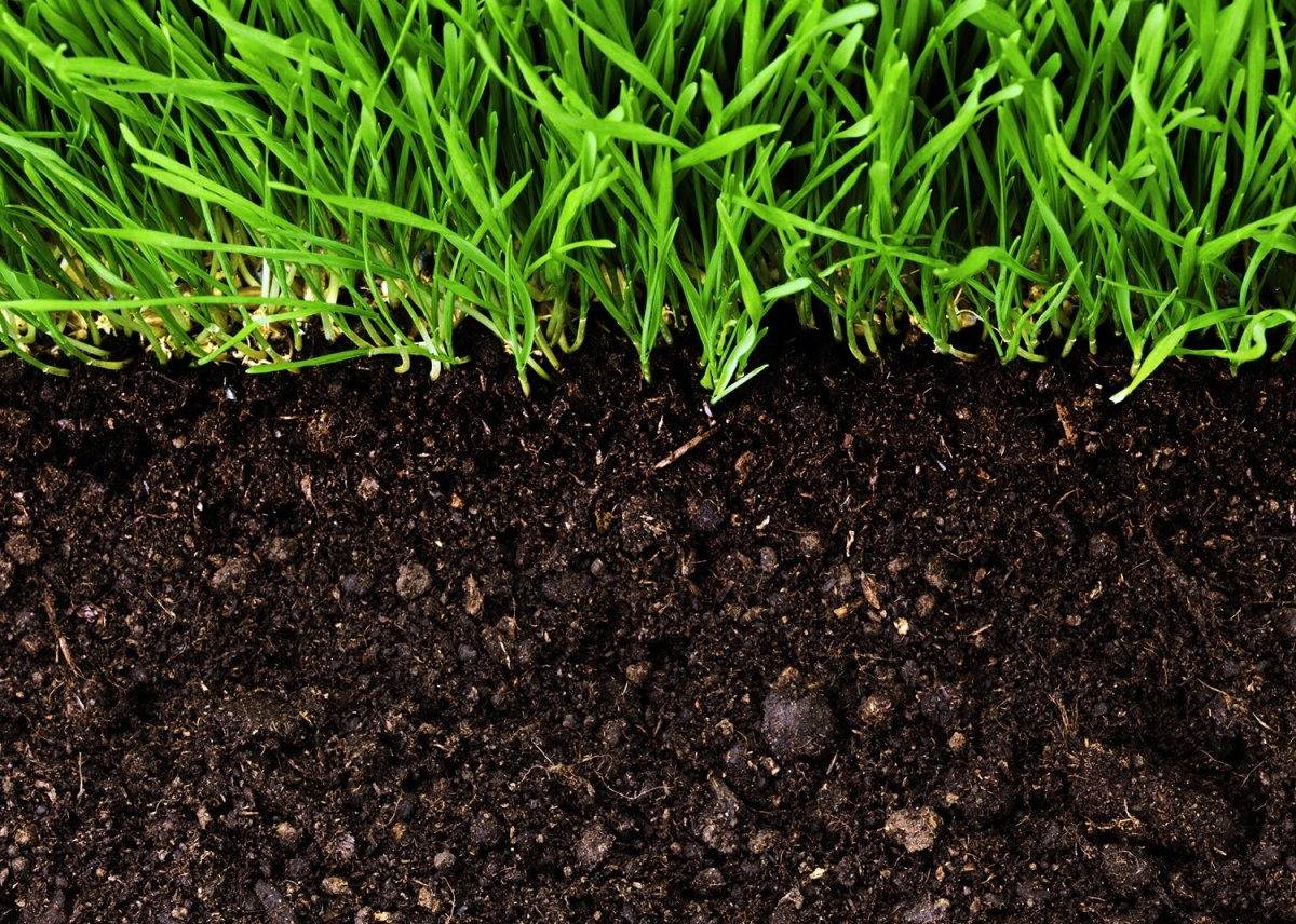 Подготовка почвы к посадке: виды и особенности
