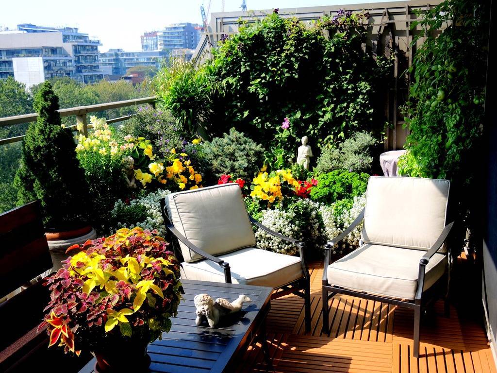 Красивые цветы на балконе, советы как вырастить, какие выбрать цветы для зимнего сада, открытого и закрытого балкона, примеры оранжереи на балконе и лоджии | pomasteru.ru