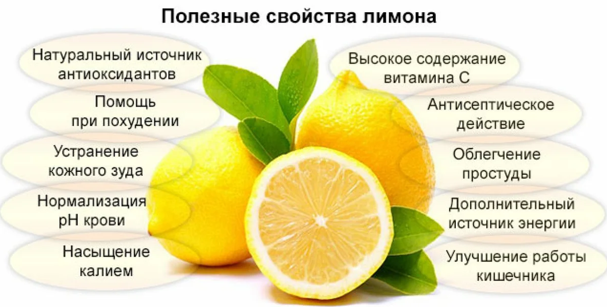 Лимон: полезные свойства и противопоказания, фото, применение лимона. польза и вред лимона, калорийность лимона.