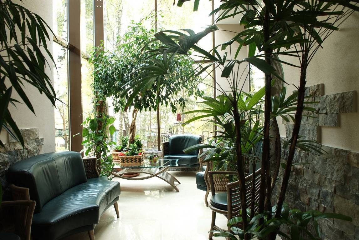 Живая стена - вертикальный сад в квартире и доме - статья - журнал