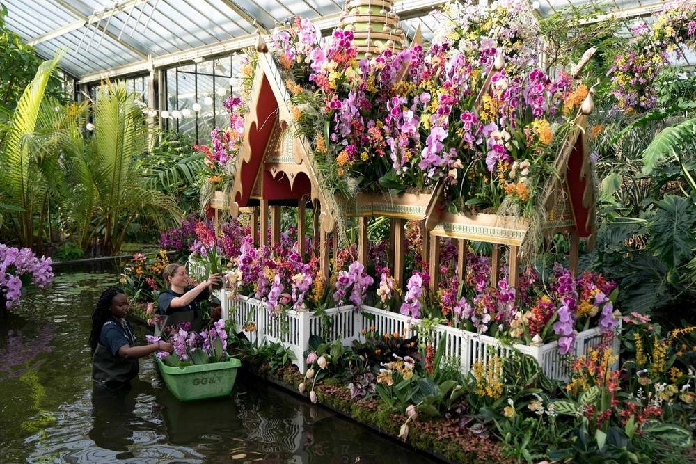 The orchid show: natural heritage