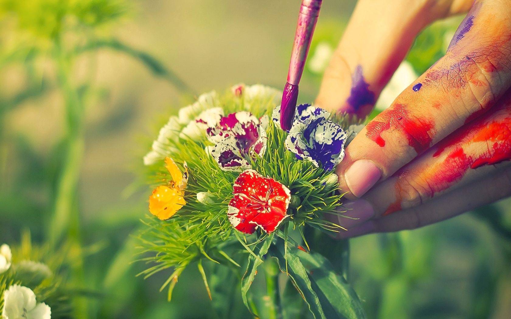 Комнатные цветы для женского счастья и любви: 20 разновидностей с фото