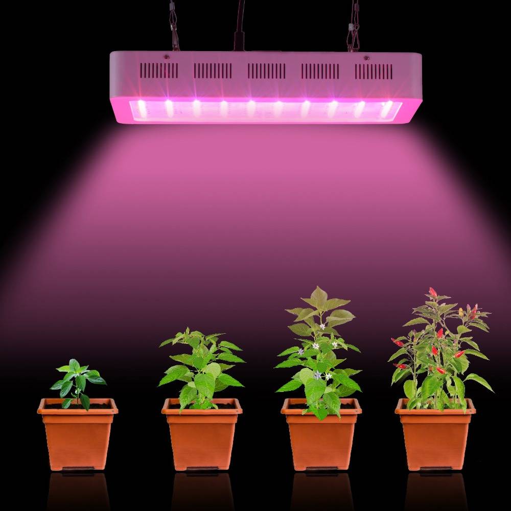 Искусственное освещение растений. зачем это нужно и как реализовать