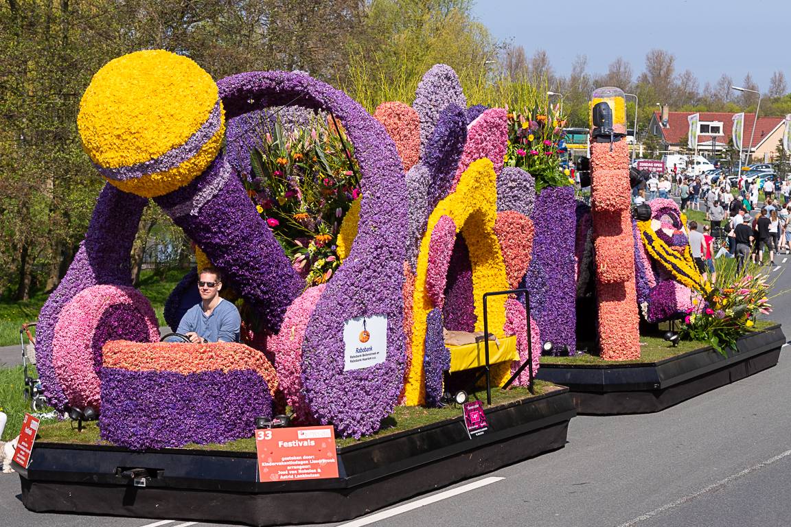 Парад цветов в нидерландах: всё, что нужно знать