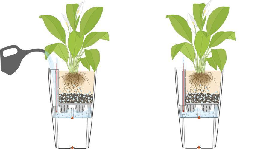 Дренажный слой для комнатных растений и рассады: зачем он нужен и как его сделать