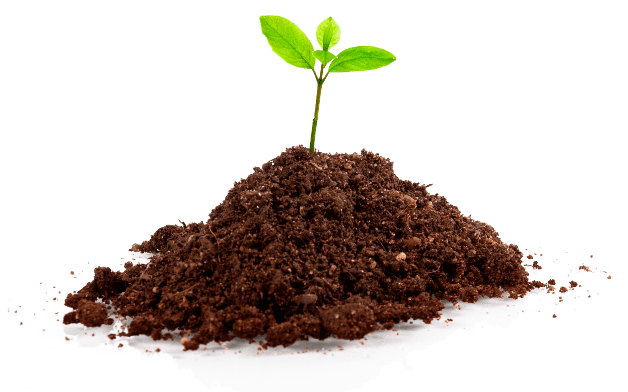 Почва: виды, состав, характеристики, какие типы почв лучше