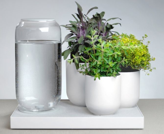 Как смягчить жесткую воду в домашних условиях для полива цветов? - boormistr.ru