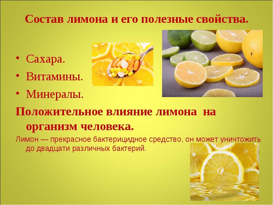 Всё о лимон: история, польза, свойства, калорийность и многое другое - redmondclub