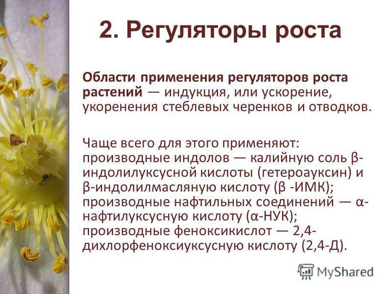 Регулятор роста растений | справочник пестициды.ru